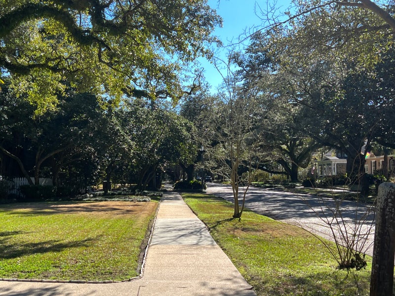 Ashland Place Mobile Alabama Homes and Real Estate for Sale